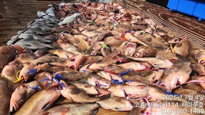 생미끼낚시 팁 감성돔 갯지렁이 미끼 꿰는 법과 입질 파악_8