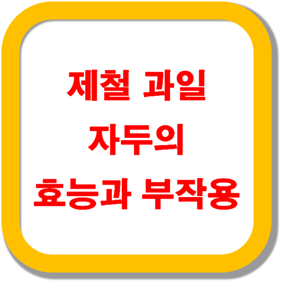 제철-과일-자두의-효능과-부작용
