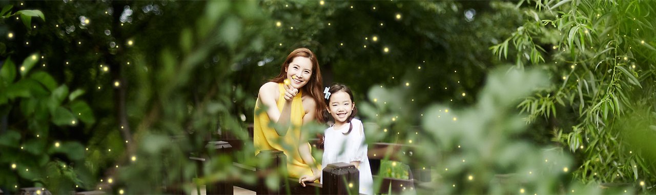 무주반딧불축제 일정&middot;예약&middot;체험까지 한눈에 확인하기