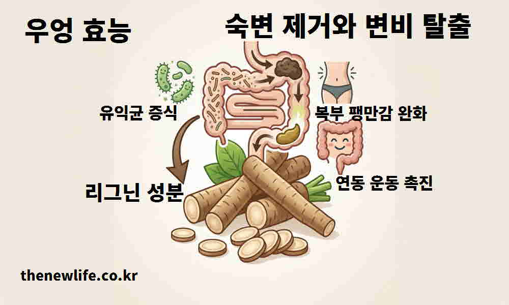 우엉 효능 숙변 제거 변비 탈출