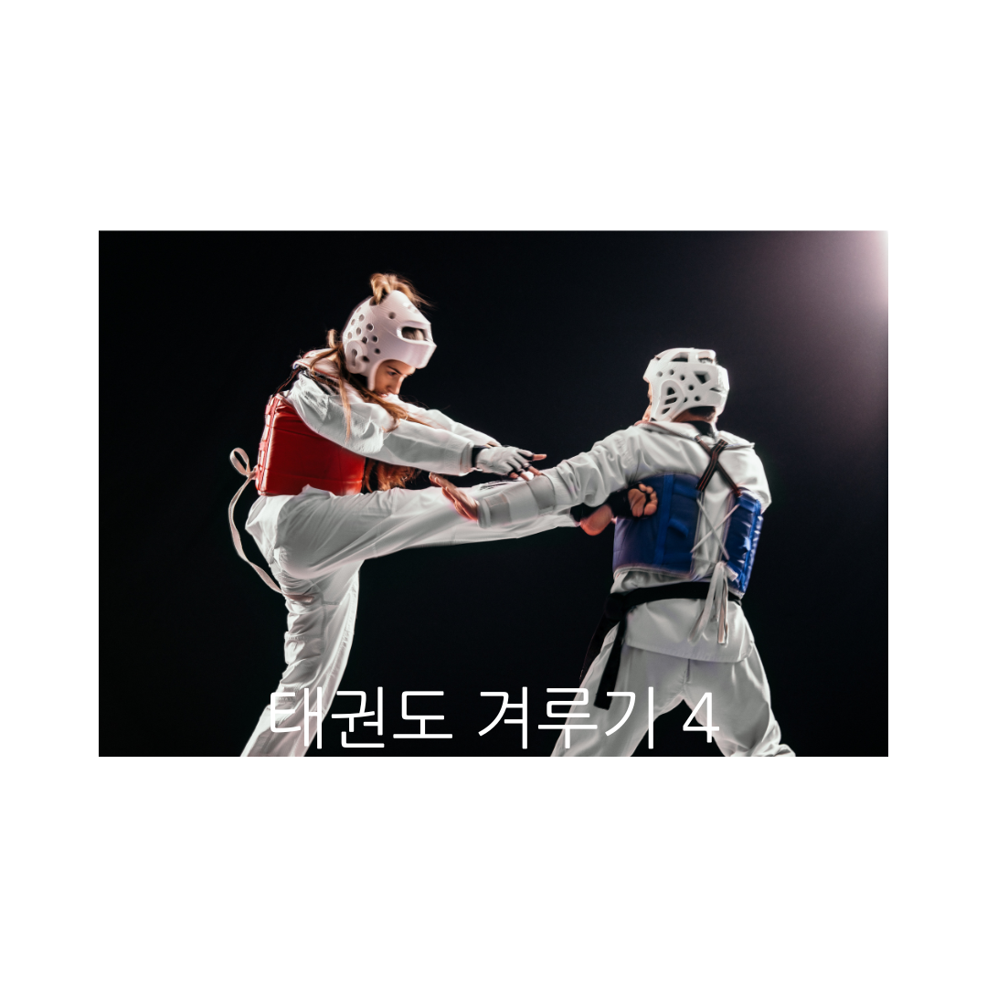 태권도 겨루기 4