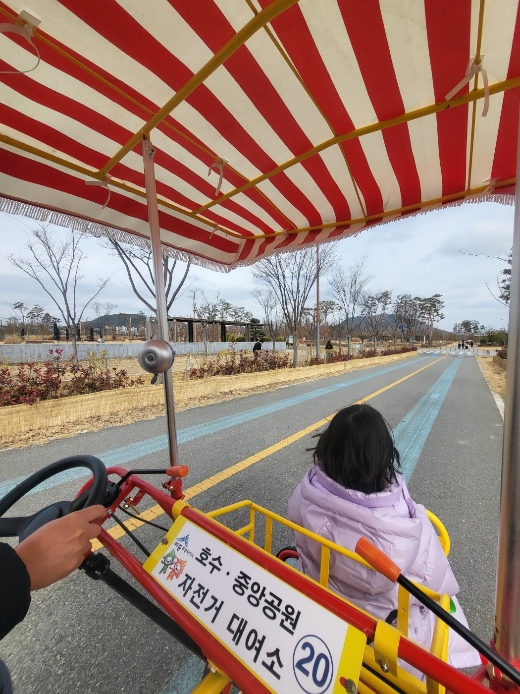 세종 아이와 가볼만한곳 추천: 가족 4인용 자전거부터 송담만리 카페 산책길