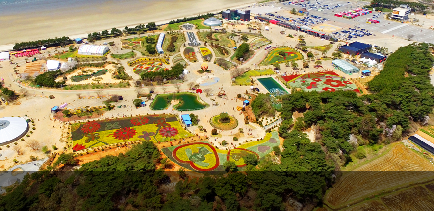 태안 튤립축제 주차 꿀팁,입장료 할인 방법