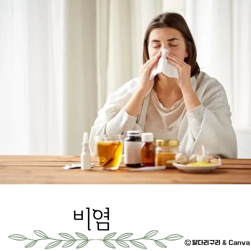 가정용 비염 치료기 추천 치료방법 