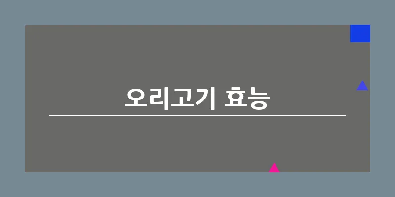 오리고기 효능_12