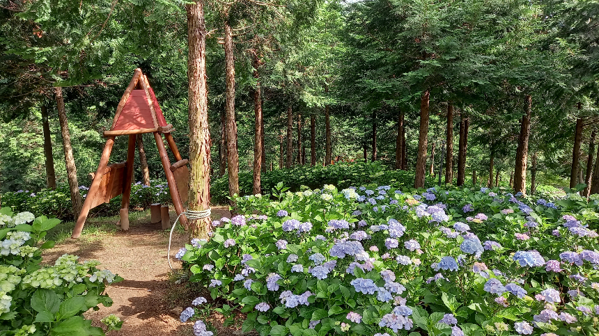 특색있고 아름다운 민간 정원 30선 추천 여행 - 21. 보성 성림정원