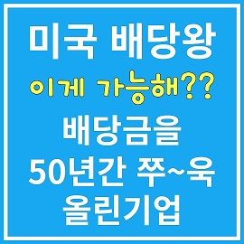 미국 배당주식 소개
