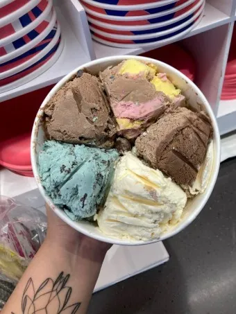 배스킨라빈스 메뉴 가격 아이스크림케이크 파인트 패밀리 쿼터 가격_15