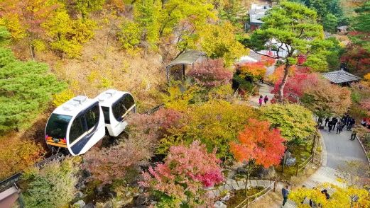 2025년부터 화담숲 예약하기