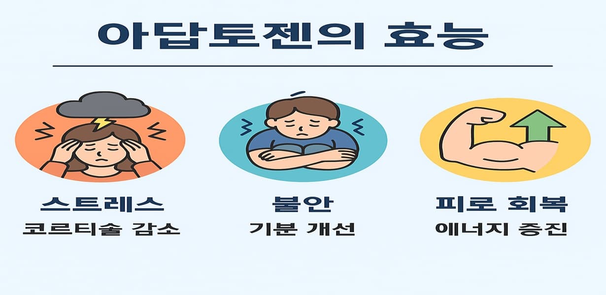 아답토젠의 효능(스트레스 완화, 불안 개선, 피로 회복)을 시각적으로 표현한 일러스트 인포그래픽