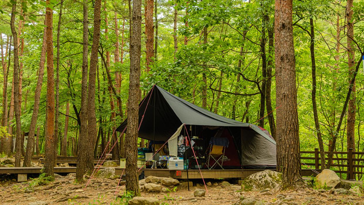 동해시 무릉계곡힐링캠핑장 소개