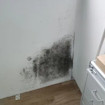 장마철 곰팡이 제거방법 꿀팁 정리 완벽 가이드_5