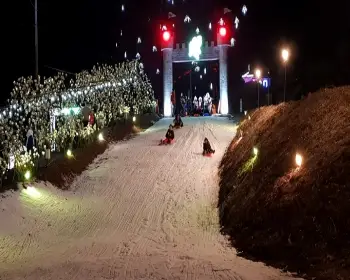 고니골 빛 축제_7