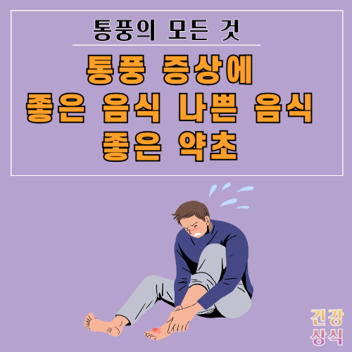 통풍 증상에 좋은 음식 나쁜 음식 좋은 약초 총정리