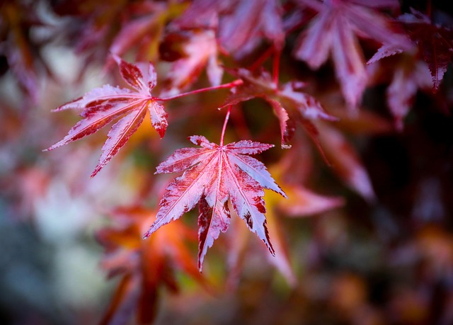 2025년 10월 과천에서 가족&amp;#44; 연인&amp;#44; 친구&amp;#44; 아이들과 함께 반드시 가봐야 할 밤줍기 행사