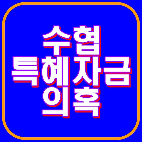 수협 특혜자금 의혹