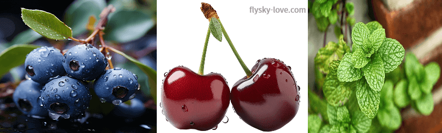 천연진통제 블루베리, 체리, 페퍼민트