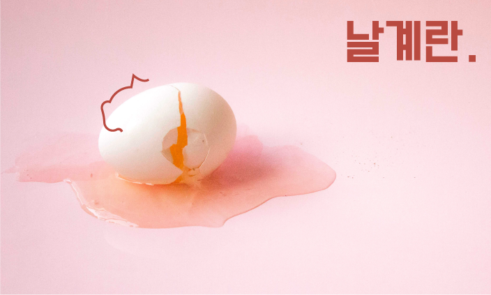 강아지-사람음식