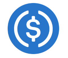USD 코인 (USDC)