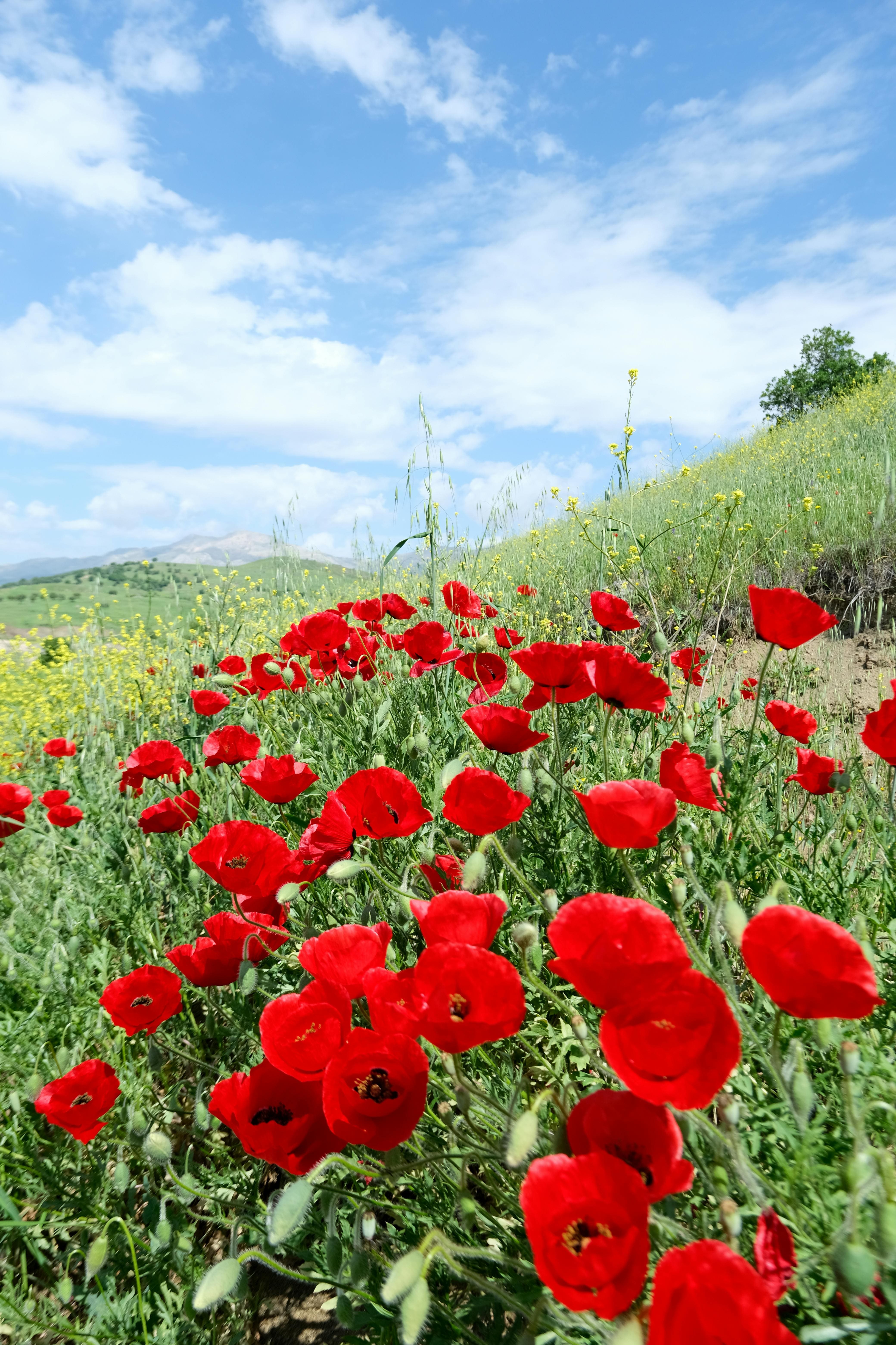 건강한 주거환경