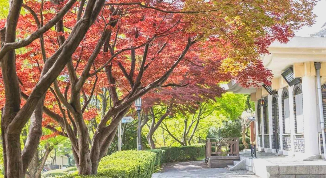 충렬사 경내로 이어지는 고즈넉한 산책로. [ⓒ대한민국 구석구석]