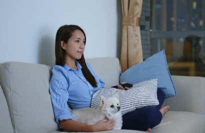 티비보는 강아지