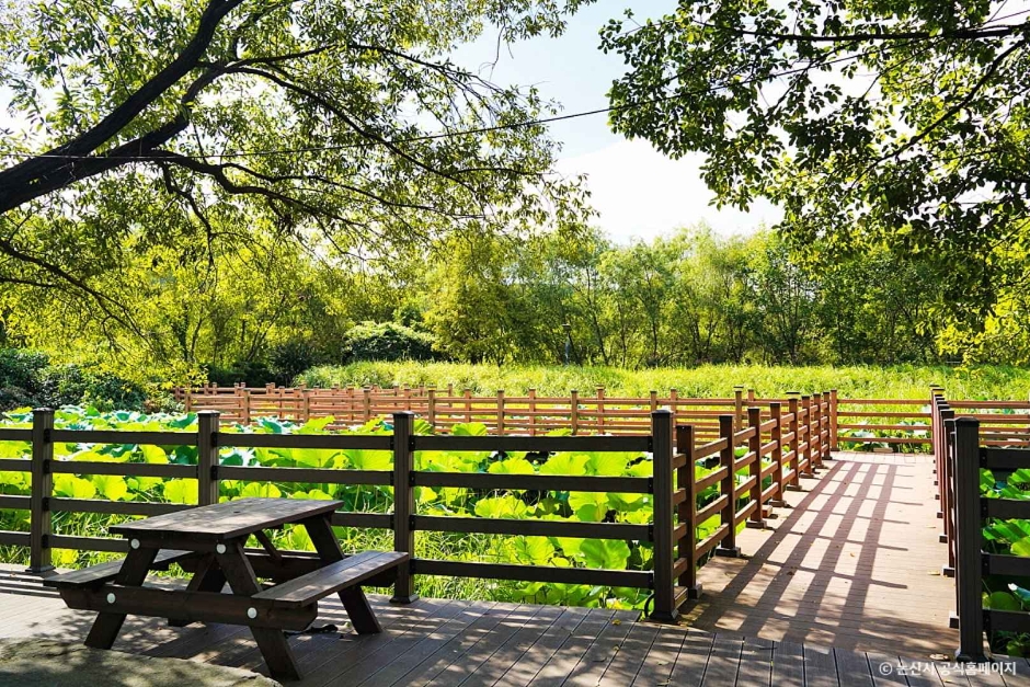 탑정호 수변생태공원