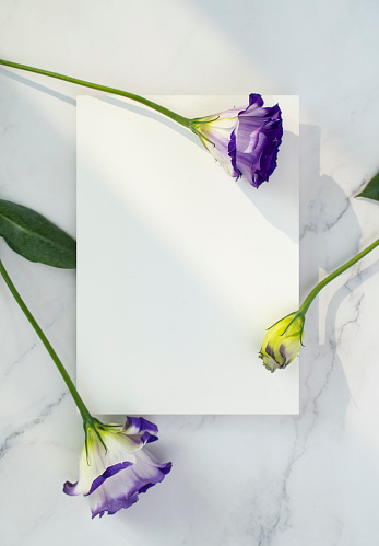 속초 가볼만한곳 베스트 10