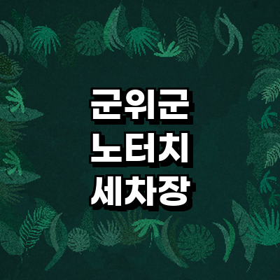 대구 군위군 노터치 세차