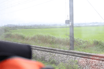 경부선 열차 운행중지