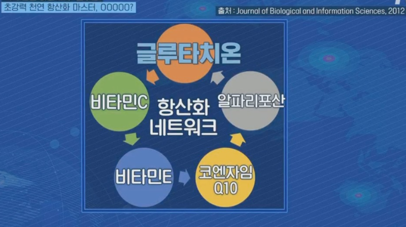 항산화 네트워크