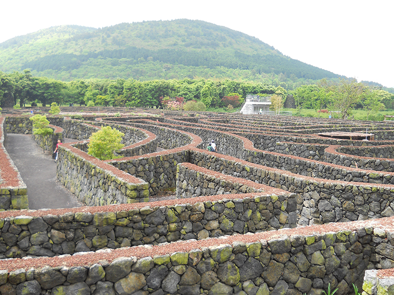 메이즈랜드(Maze Land)