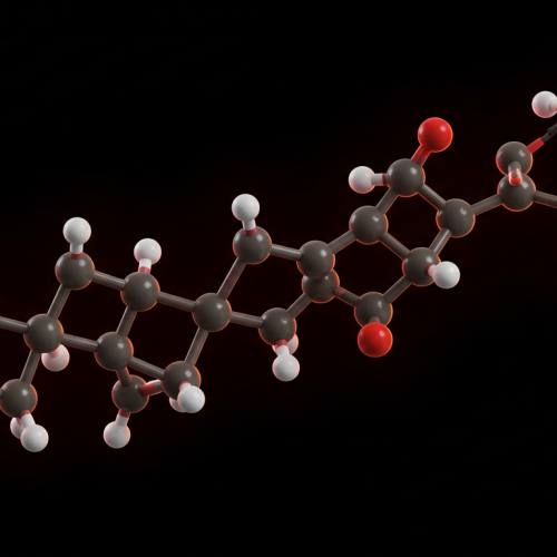 콘드로이친 풍부한 음식