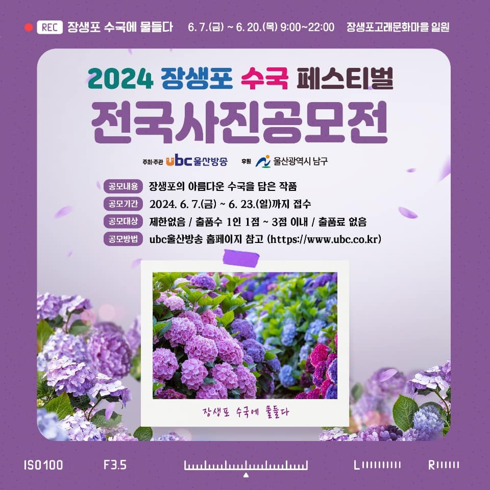 2024년 장생포 수국 페스티벌