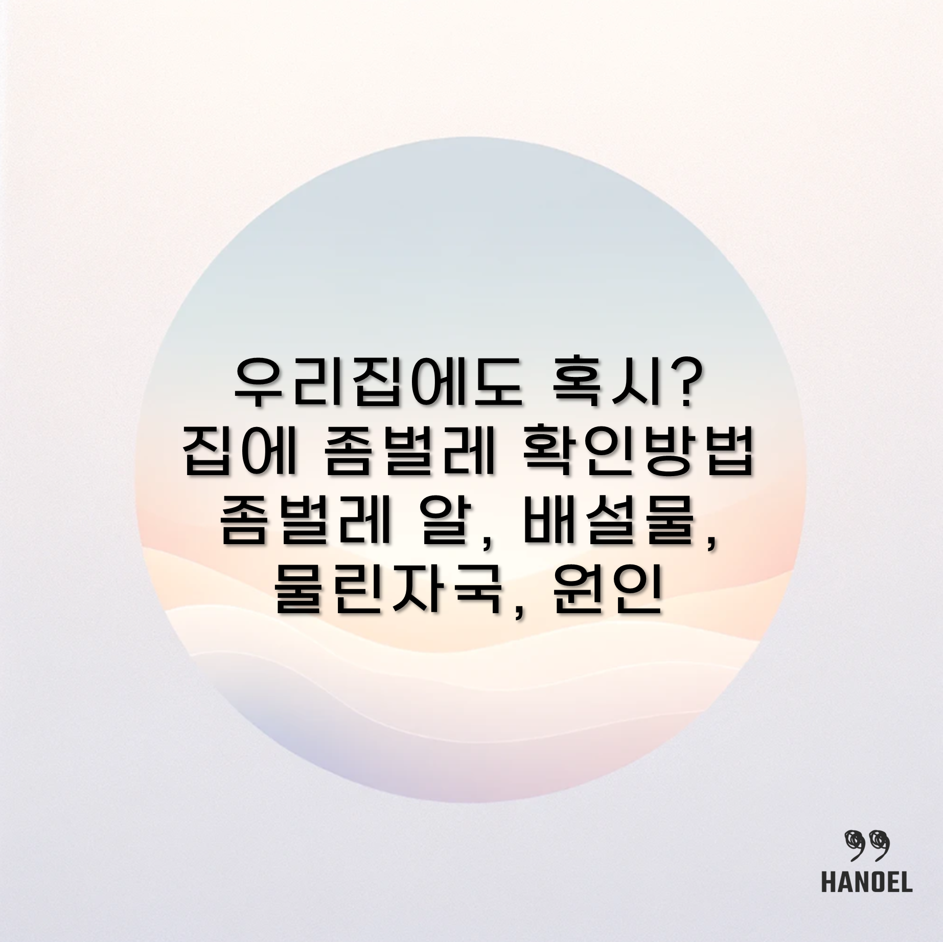 우리집에도 혹시? 집에 좀벌레 확인방법 좀벌레 알, 배설물, 물린자국, 원인