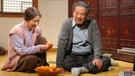 최불암 김혜자