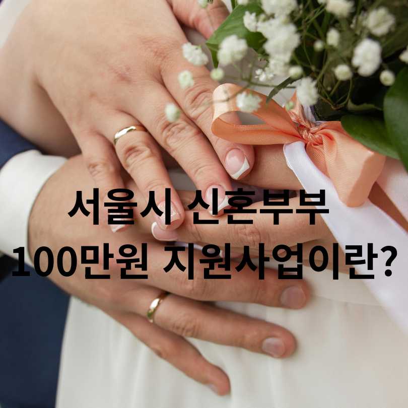 서울시 결혼비용 100만원 현금 지원제도