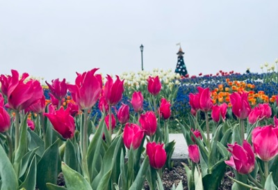 여행과 데이트하기 좋은 곳