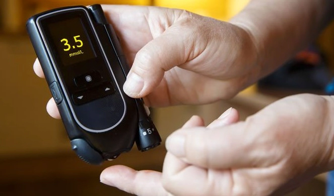 혈당 낮추는 성분 추천