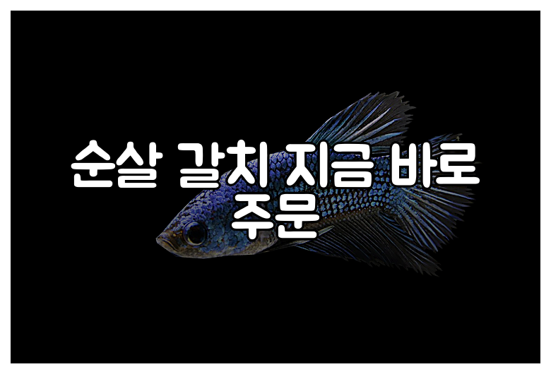 순살 갈치 지금 바로 주문