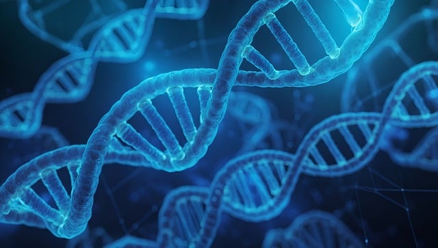 DNA 검사 사진