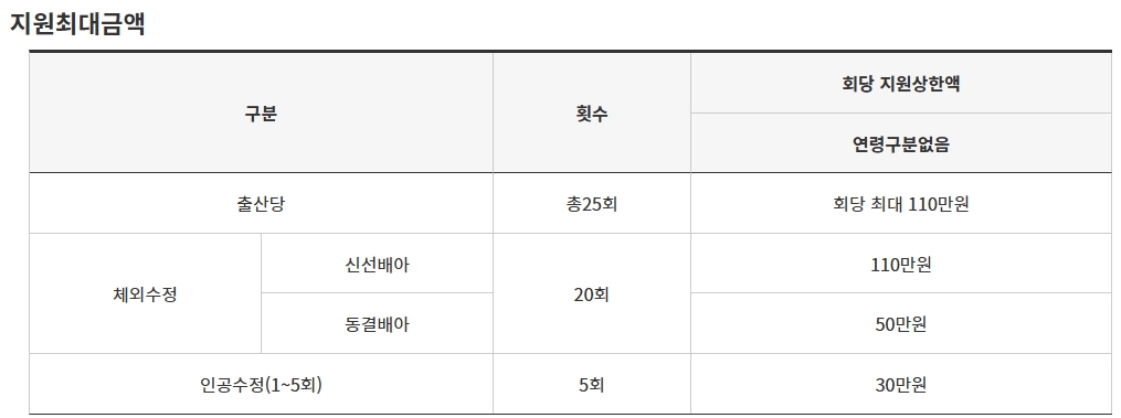 부산난임시술지원내용