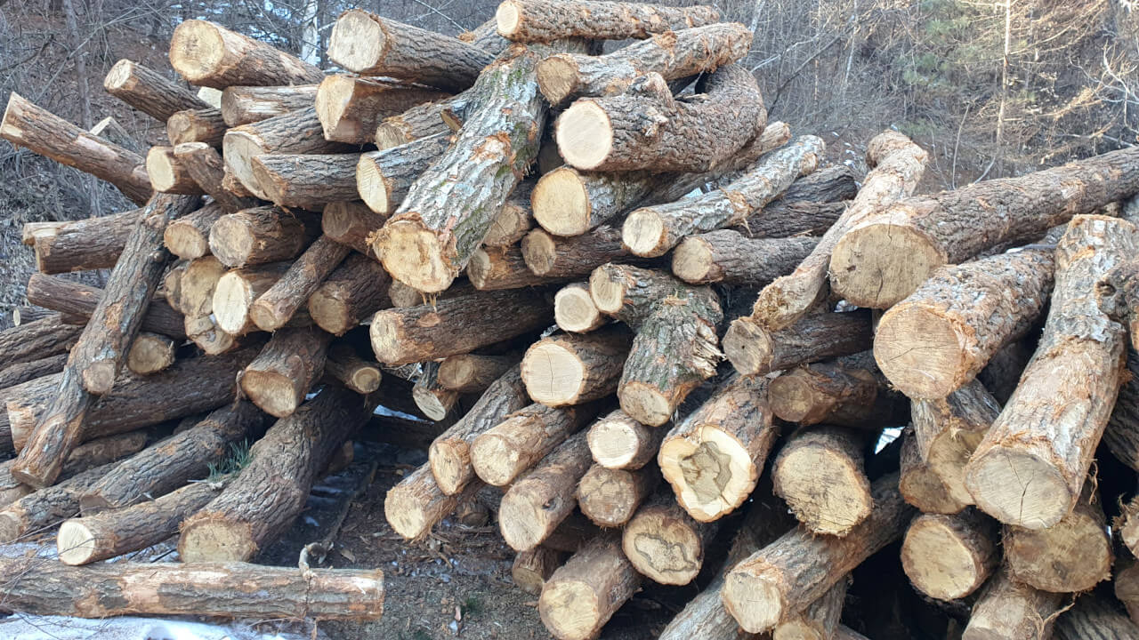 생생정보 2330회 스타의 고장 가수 박군의 경기도 양평군 맛집 양평솥뚜껑닭볶음탕과 양평메기수염축제 정보