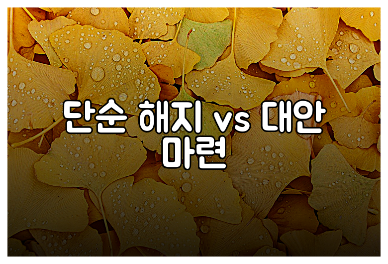 단순 해지 vs 대안 마련