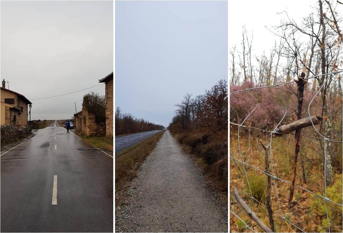 폰세바돈으로-가는-길