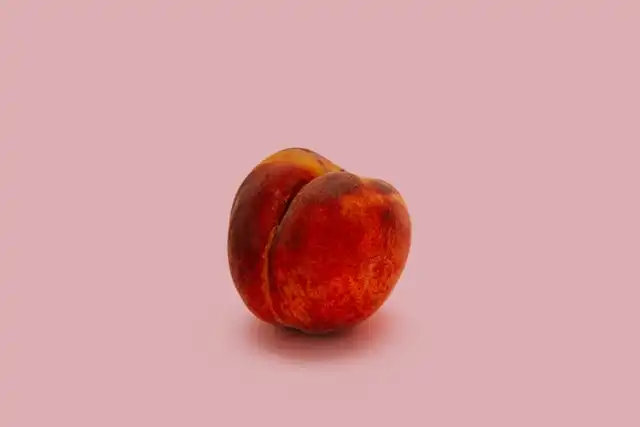 7월 제철음식