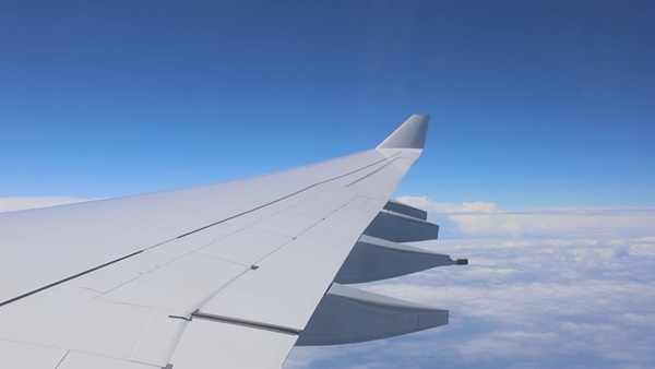 트래블 버블 뜻