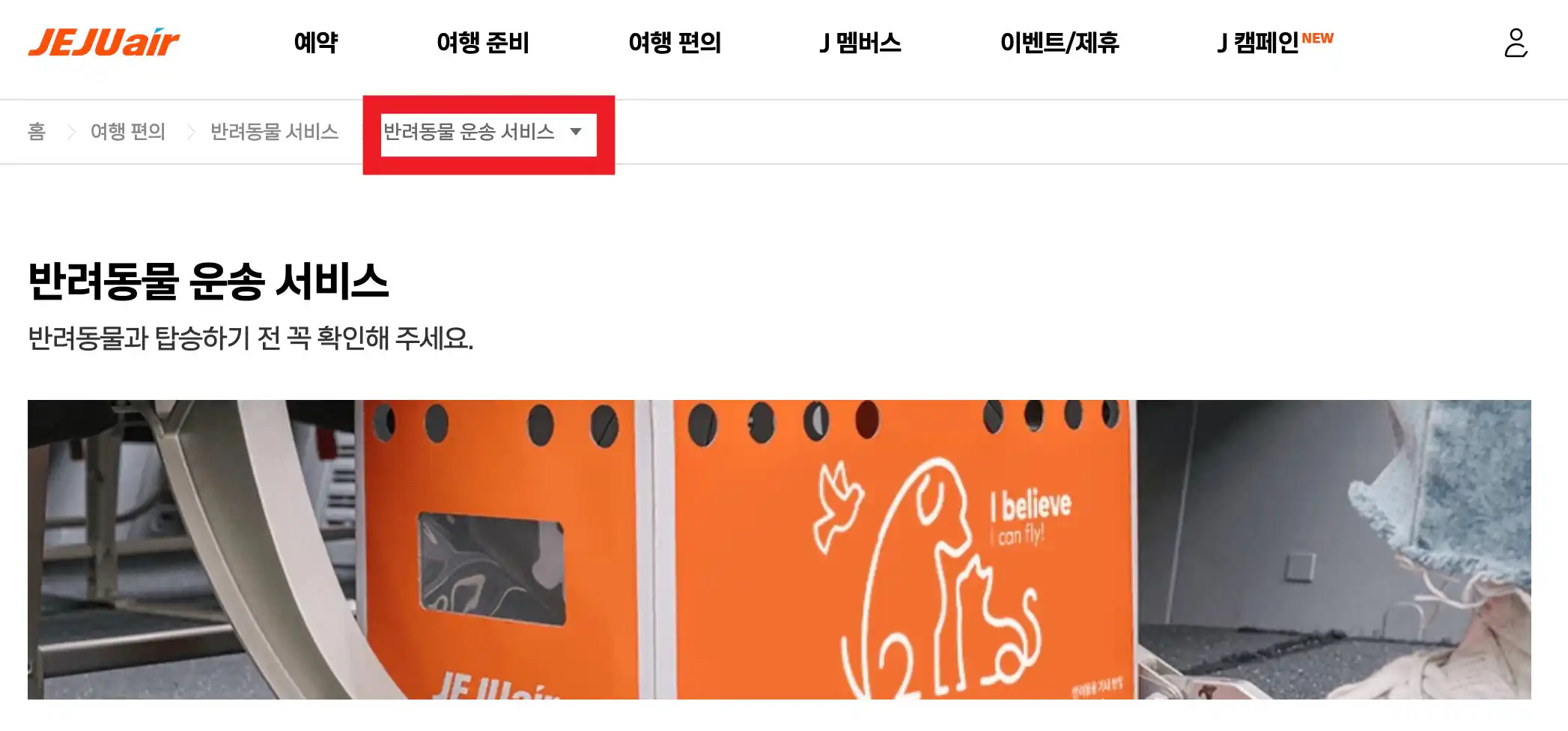 제주항공 반려동물 서비스
