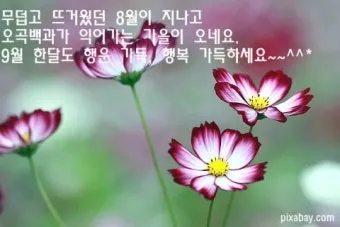 9월 인사말 모음 예시 문자_19