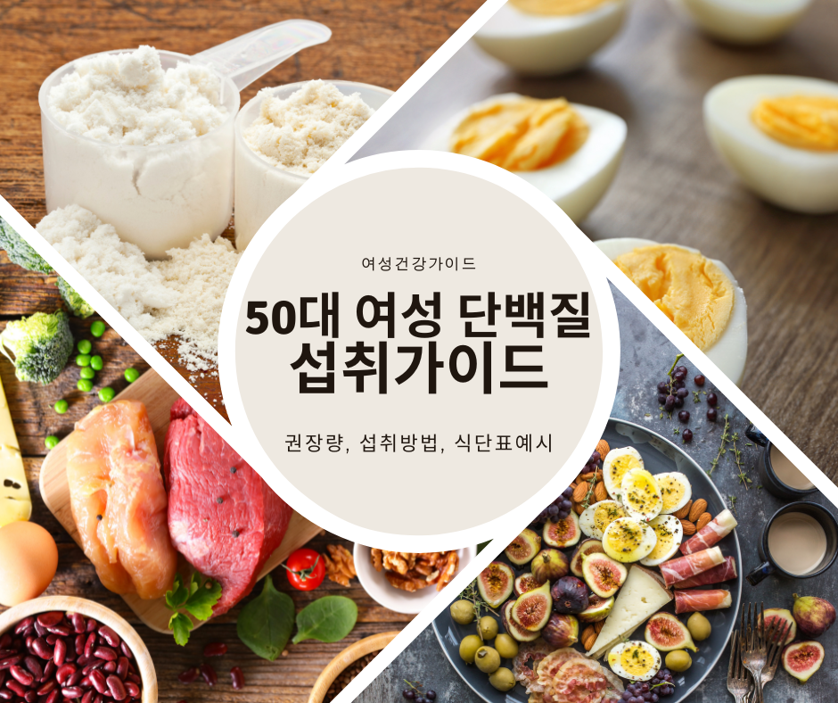 50대 여성 단백질 섭취 가이드 (권장량, 방법, 식단표)
